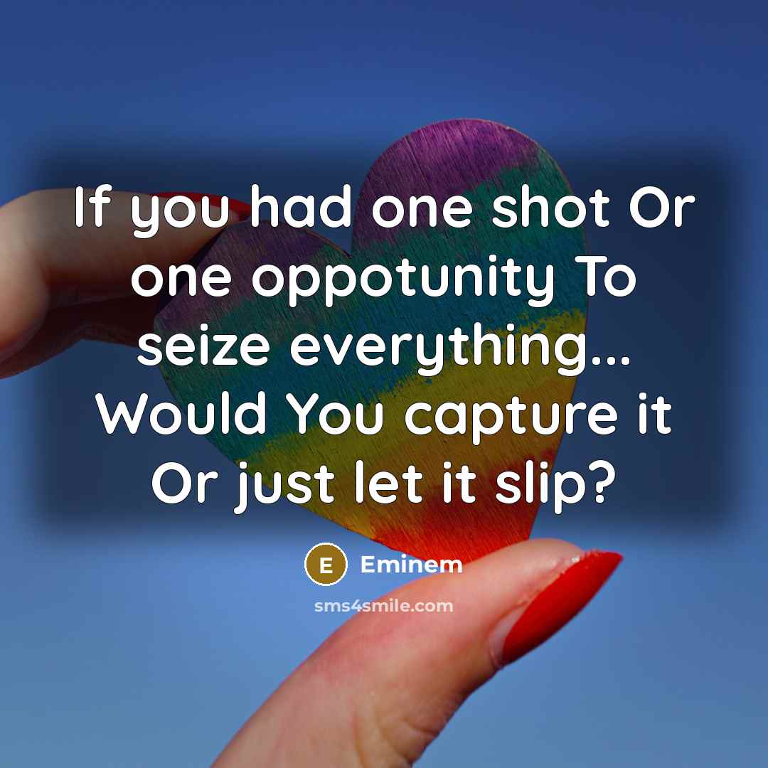 “If you had one shot Or one oppotunity To seize everything... Would You capture it Or just let it slip?” quote by Eminem