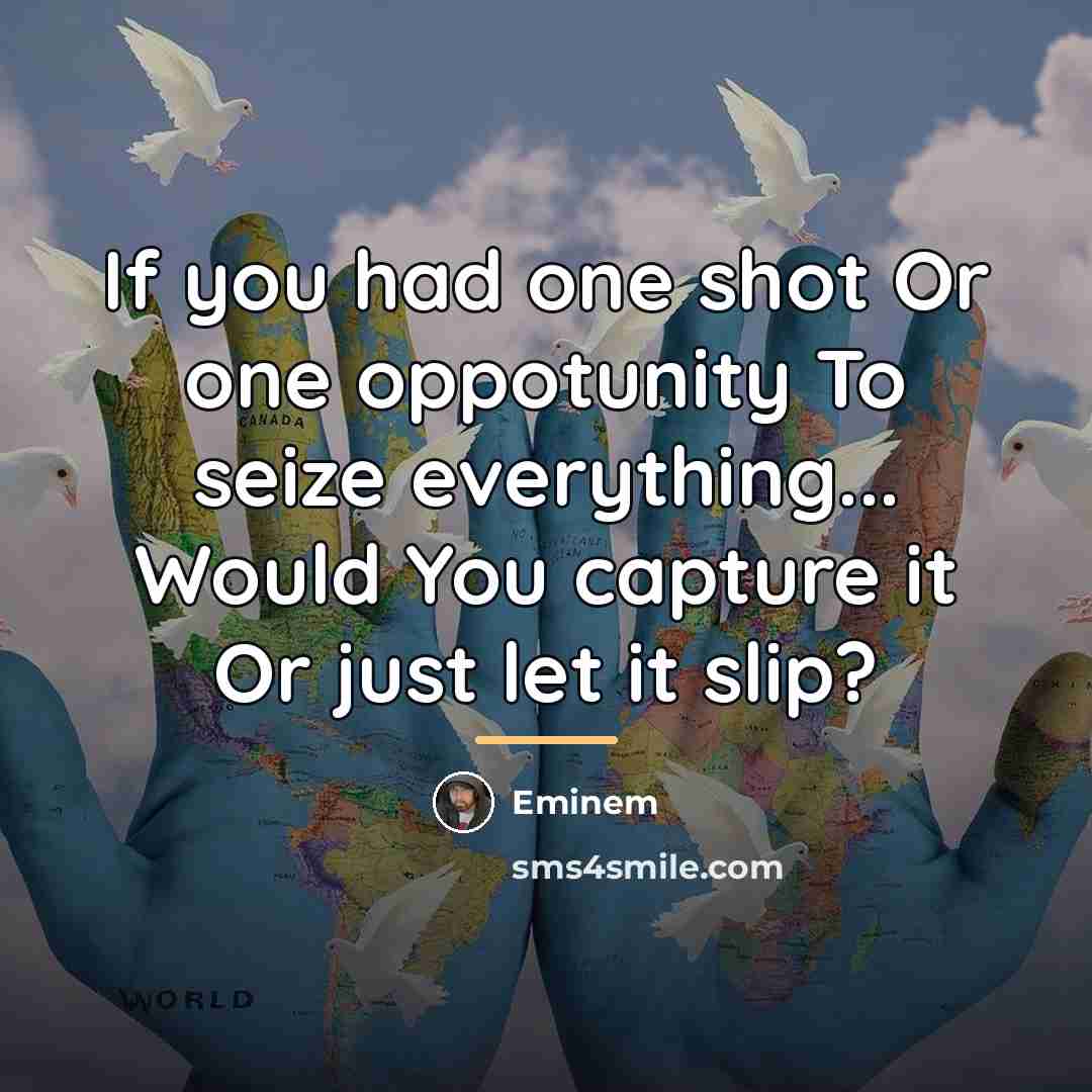 “If you had one shot Or one oppotunity To seize…” quote by Eminem