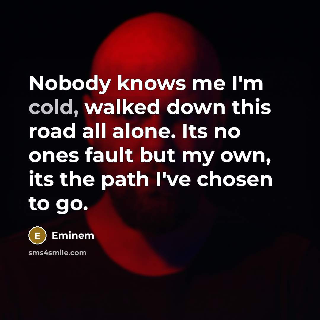 “Nobody knows me I'm cold, walked down this road all…” quote by Eminem