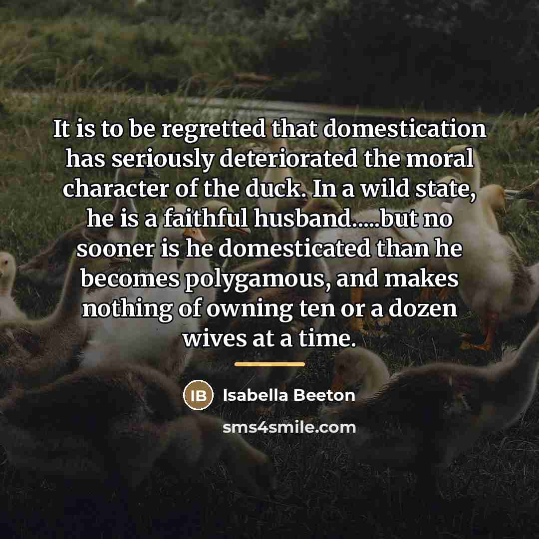 “It is to be regretted that domestication has seriously deteriorated…” quote by Isabella Beeton