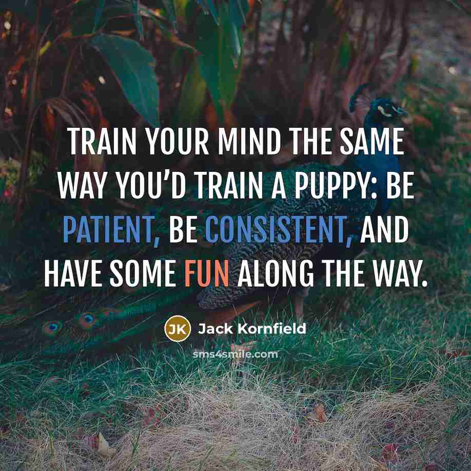 “Train your mind the same way you’d train a puppy: Be patient, be consistent, and have some fun along the way.” quote by Jack Kornfield