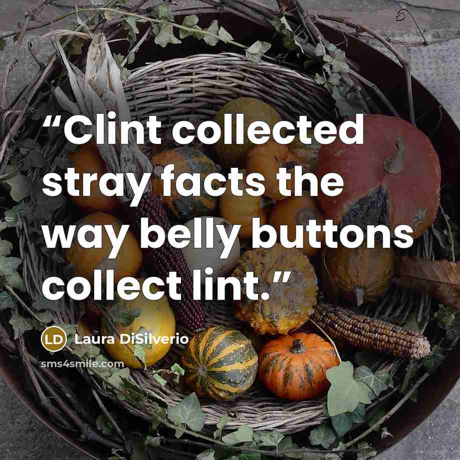 “Clint collected stray facts the way belly buttons collect lint.” quote by Laura DiSilverio
