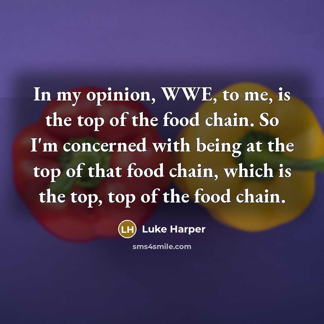 “In my opinion, WWE, to me, is the top of…” quote by Luke Harper
