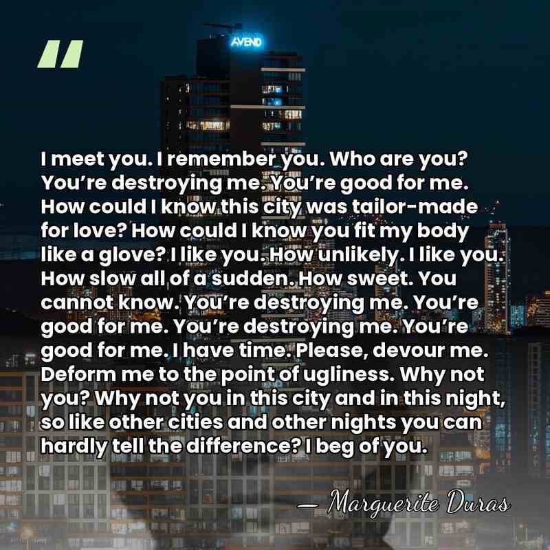 I meet you. I remember you. Who are you? You’re destroying me.&hellip; - Marguerite Duras