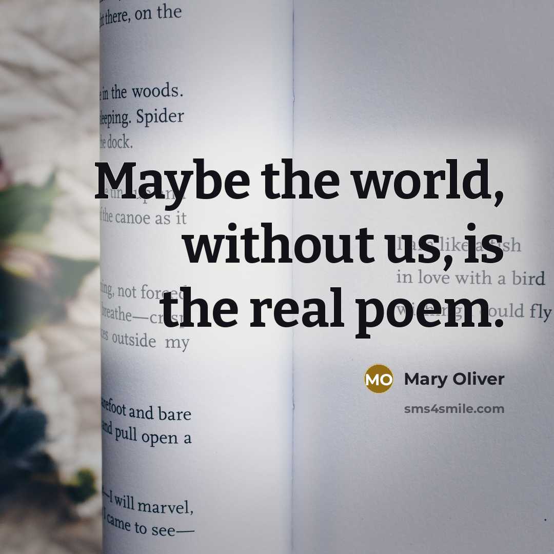 “Maybe the world, without us, is the real poem.…” quote by Mary Oliver