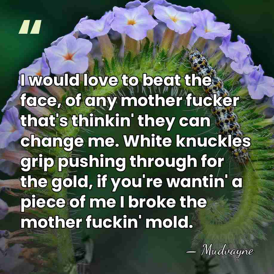 I would love to beat the face, of any mother fucker that's&hellip; - Mudvayne