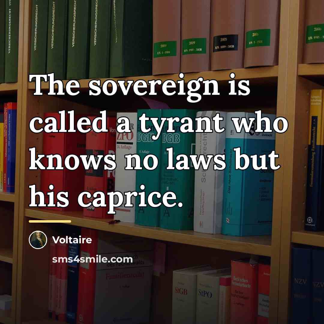 “The sovereign is called a tyrant who knows no laws…” quote by Voltaire