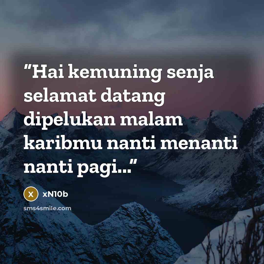 “Hai kemuning senja selamat datang dipelukan malam karibmu nanti menanti nanti pagi...” quote by xN10b