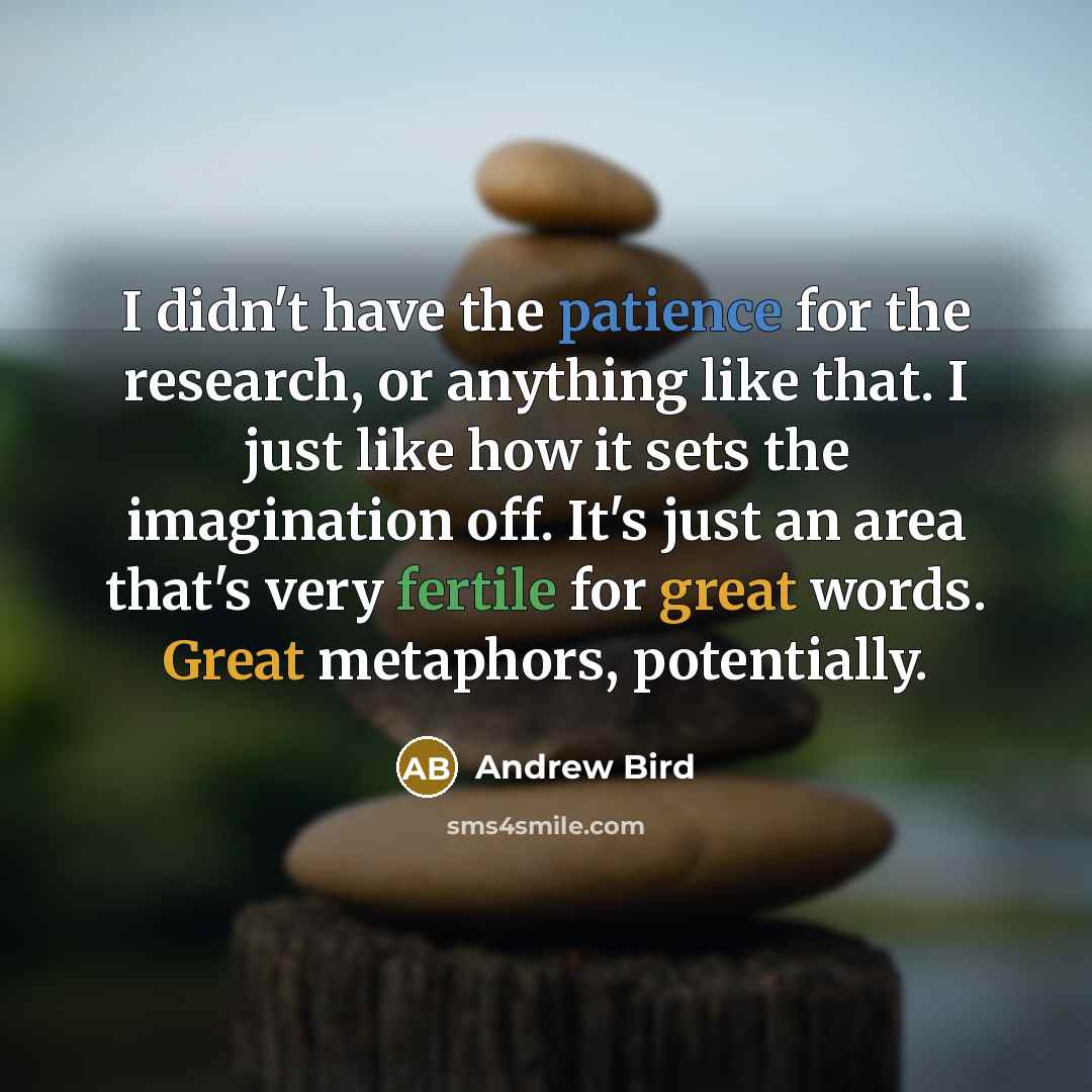 “I didn't have the patience for the research, or anything…” quote by Andrew Bird