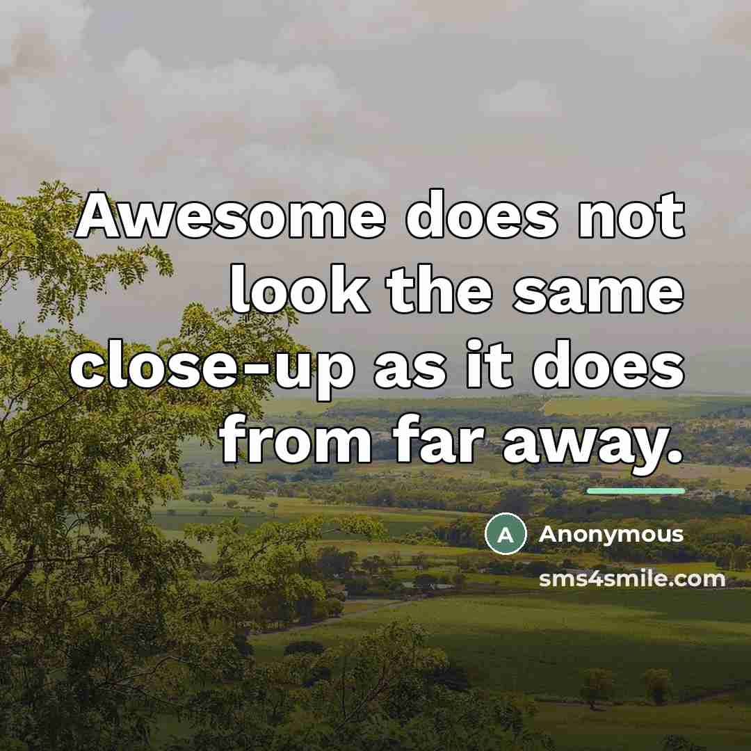 “Awesome does not look the same close-up as it does…” quote by Anonymous