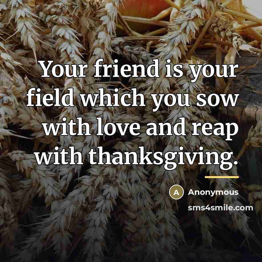 “Your friend is your field which you sow with love…” quote by Anonymous