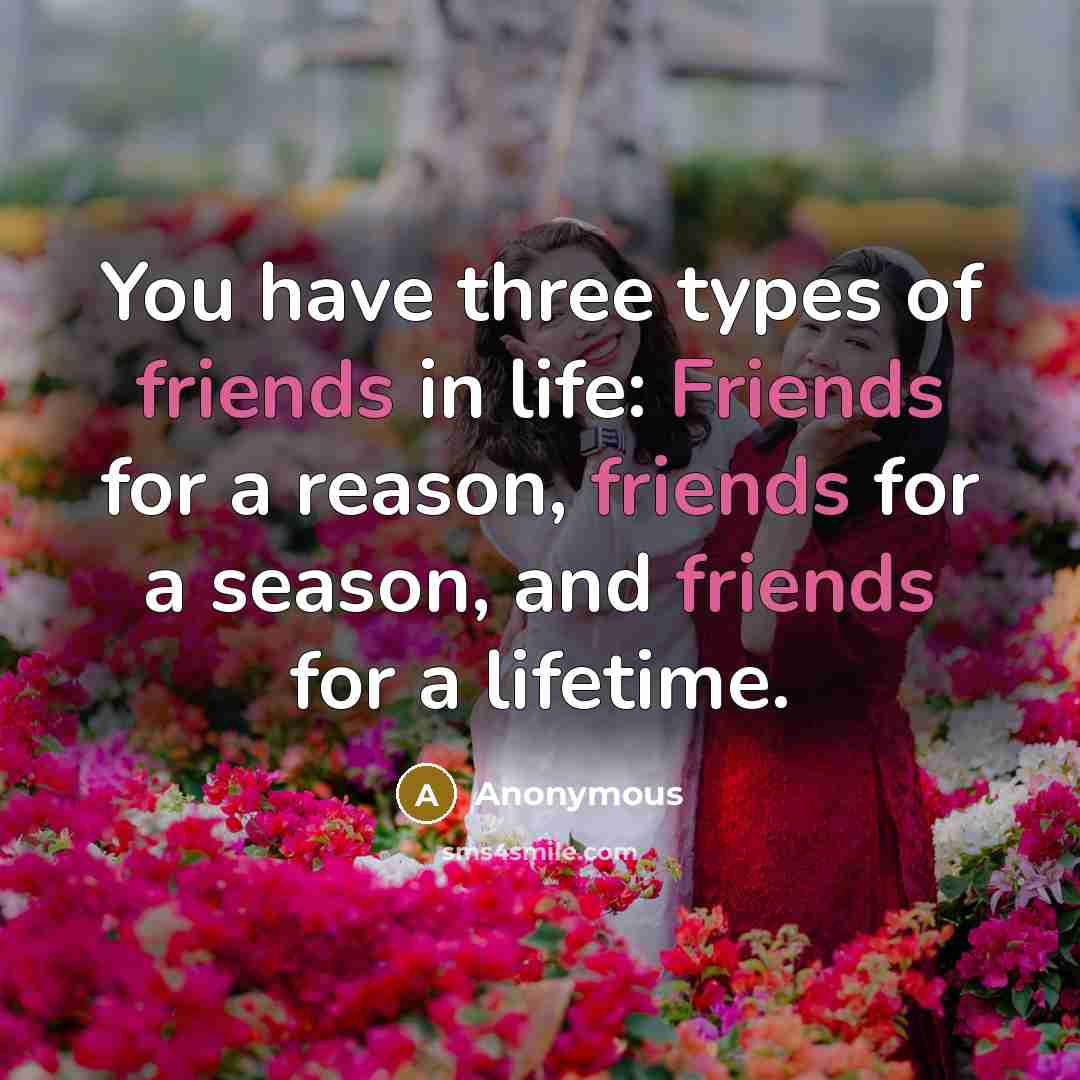 “You have three types of friends in life: Friends for a reason, friends for a season, and friends for a lifetime.” quote by Anonymous
