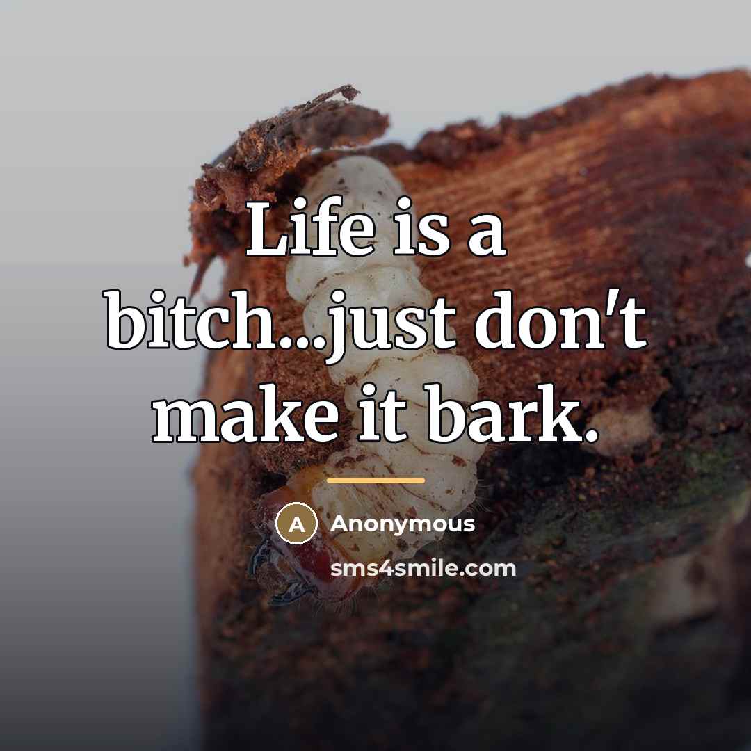 “Life is a bitch...just don't make it bark.…” quote by Anonymous