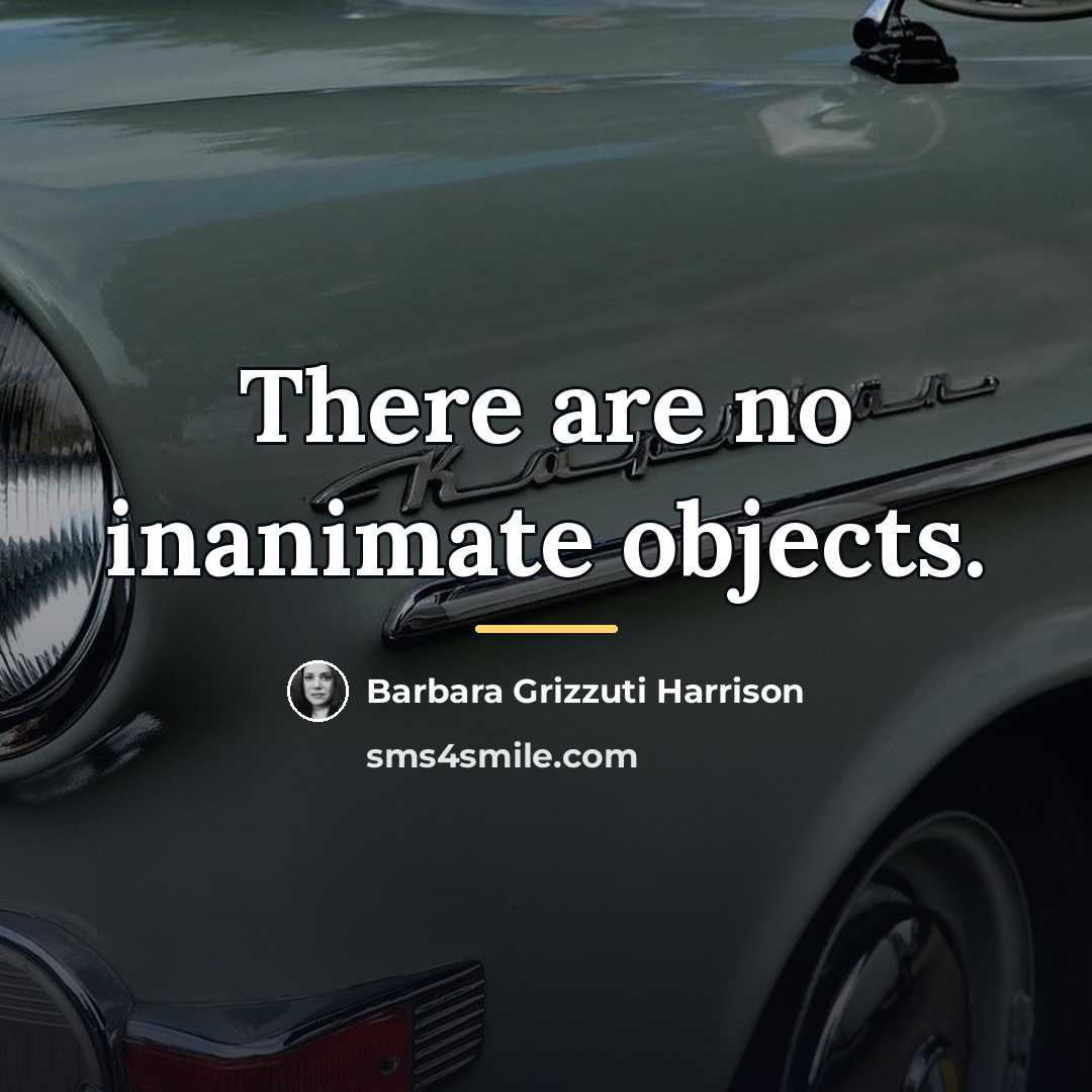 “There are no inanimate objects.…” quote by Barbara Grizzuti Harrison