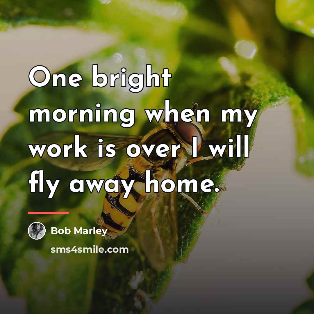 “One bright morning when my work is over I will…” quote by Bob Marley
