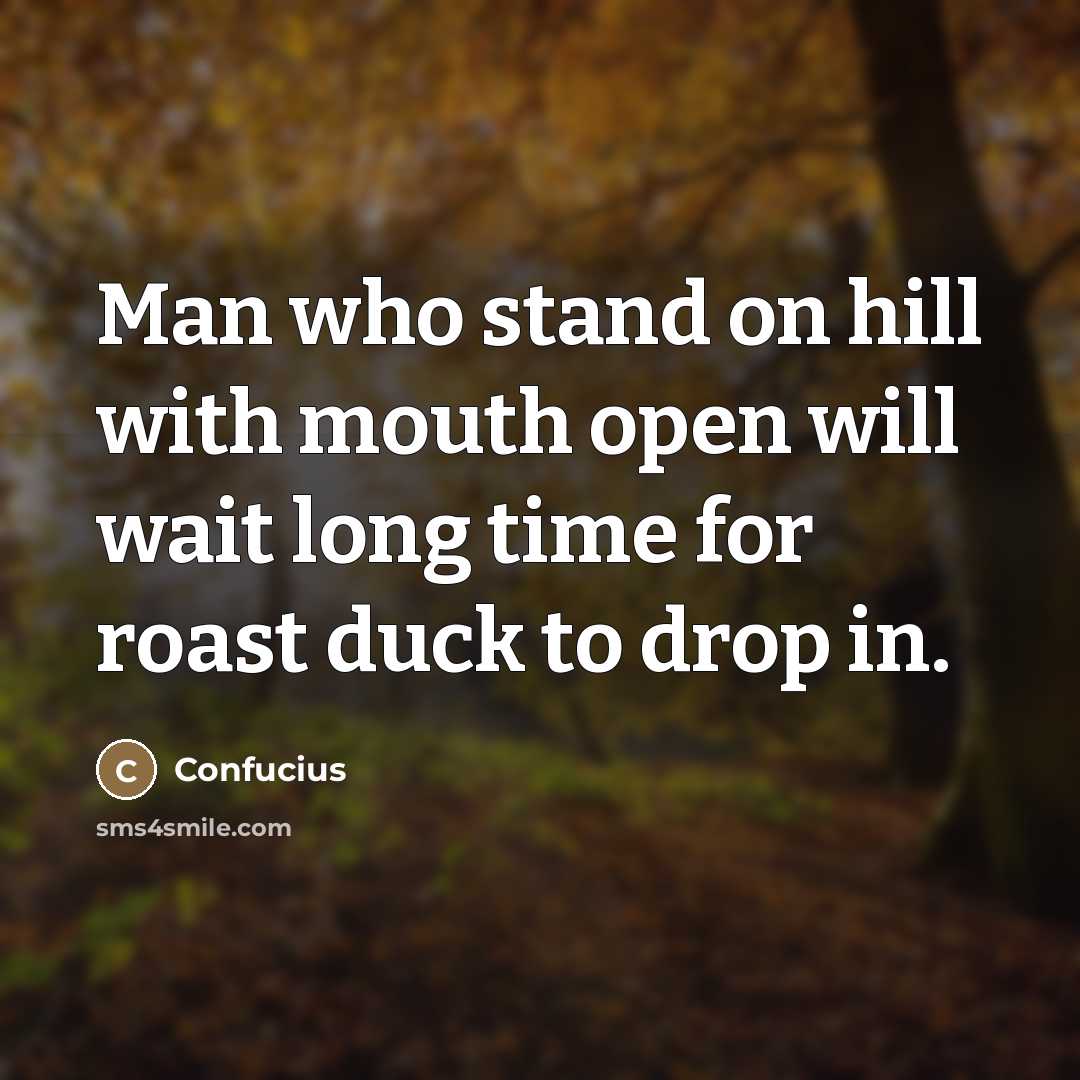 “Man who stand on hill with mouth open will wait…” quote by Confucius
