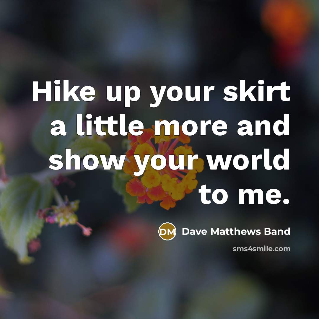 “Hike up your skirt a little more and show your…” quote by Dave Matthews Band