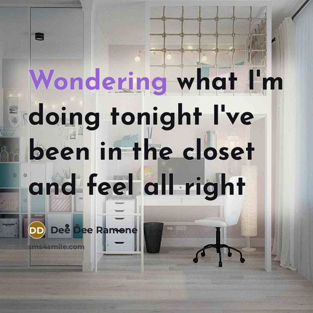“Wondering what I'm doing tonight I've been in the closet and feel all right” quote by Dee Dee Ramone