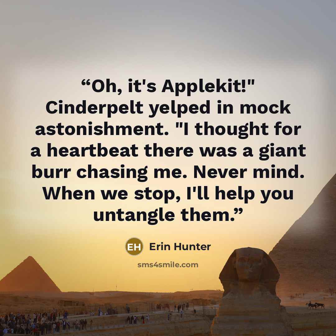 “Oh, it's Applekit!" Cinderpelt yelped in mock astonishment. "I thought for a heartbeat there was a giant burr chasing me. Never mind. When we stop, I'll help you untangle them.” quote by Erin Hunter