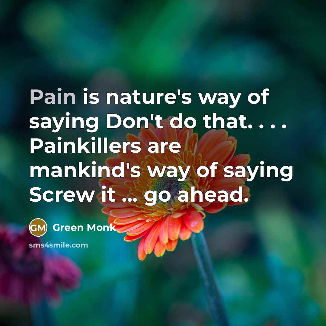 “Pain is nature's way of saying Don't do that. .…” quote by Green Monk