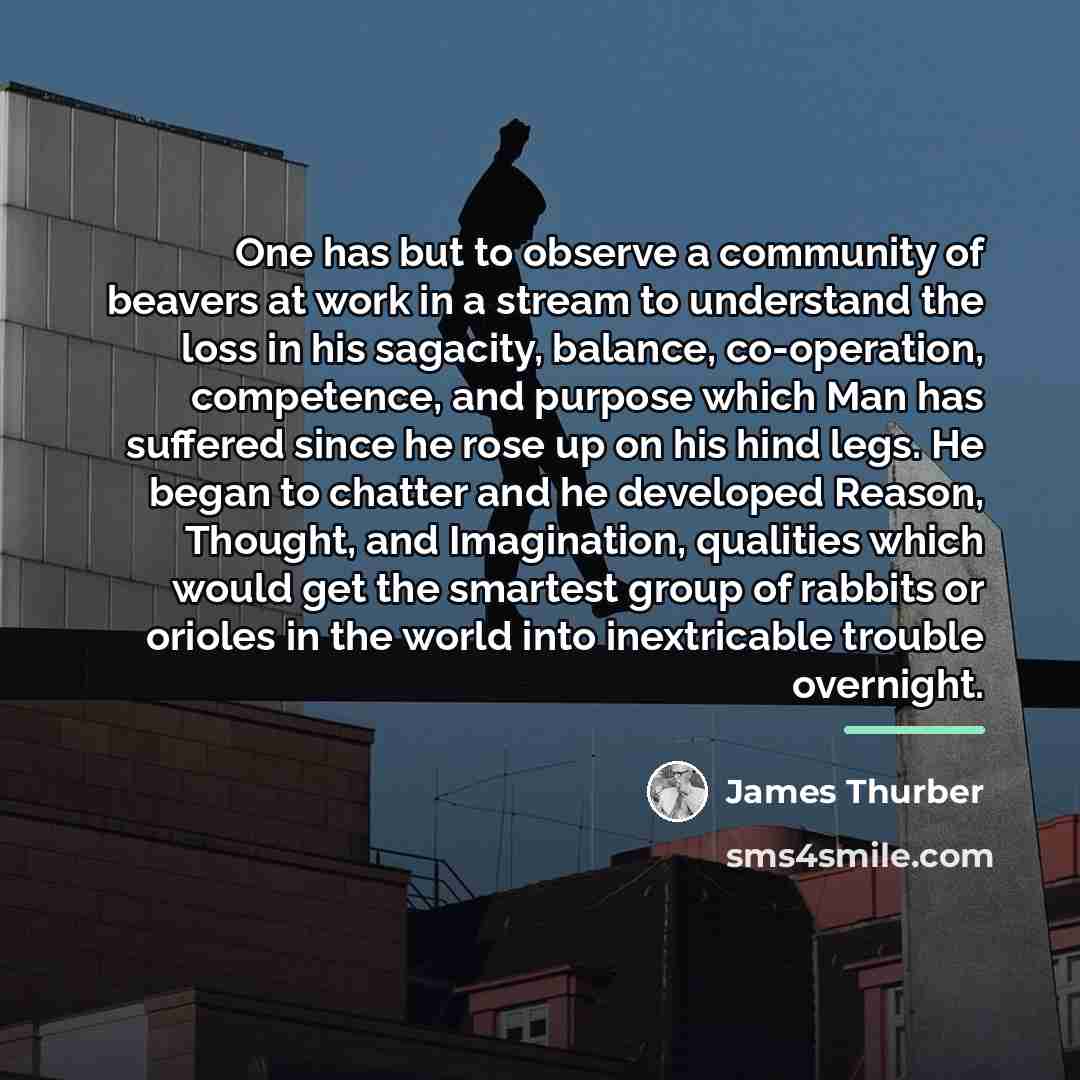 “One has but to observe a community of beavers at…” quote by James Thurber