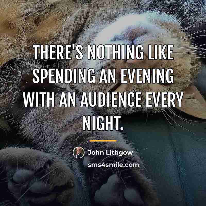 “There's nothing like spending an evening with an audience every…” quote by John Lithgow
