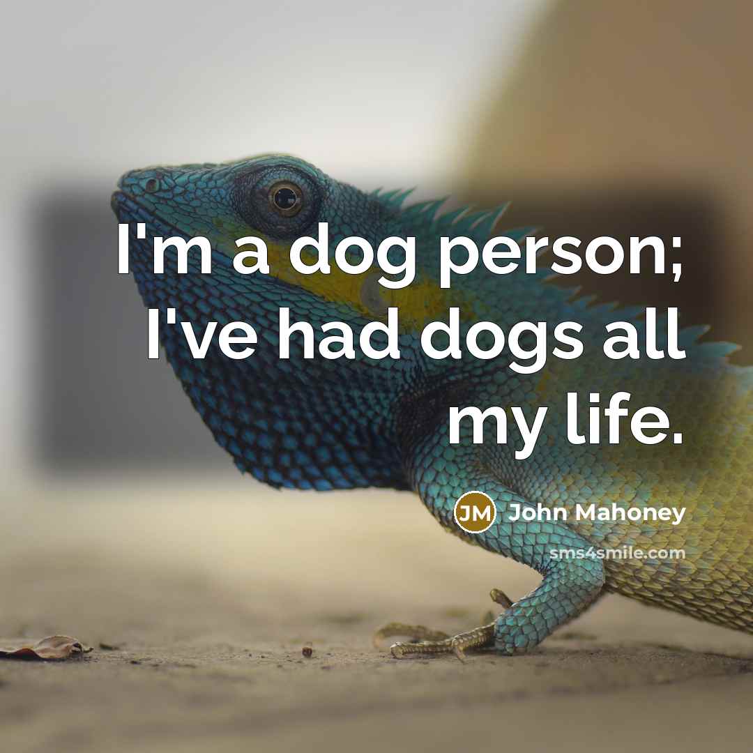 “I'm a dog person; I've had dogs all my life.” quote by John Mahoney