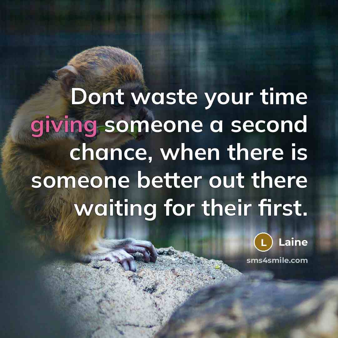 “Dont waste your time giving someone a second chance, when…” quote by Laine
