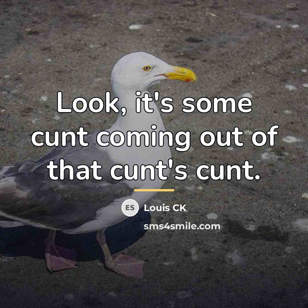 “Look, it's some cunt coming out of that cunt's cunt.…” quote by Louis CK