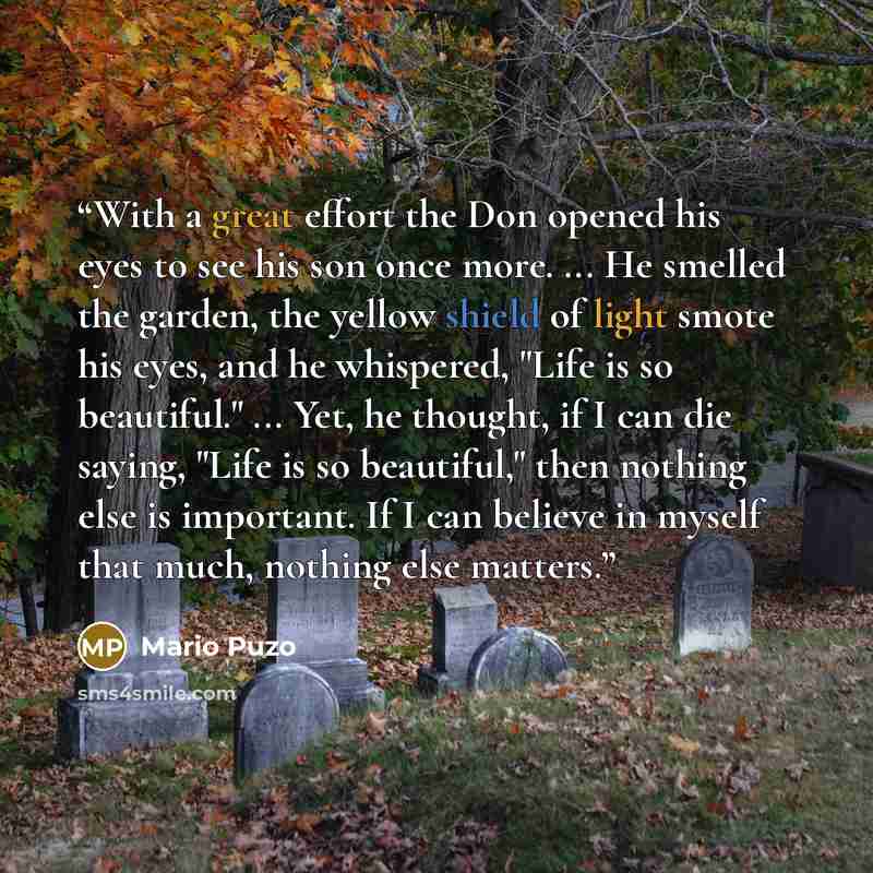 “With a great effort the Don opened his eyes to see his son once more. ... He smelled the garden, the yellow shield of light smote his eyes, and he whispered, "Life is so beautiful." ... Yet, he thought, if I can die saying, "Life is so beautiful," then nothing else is important. If I can believe…” quote by Mario Puzo