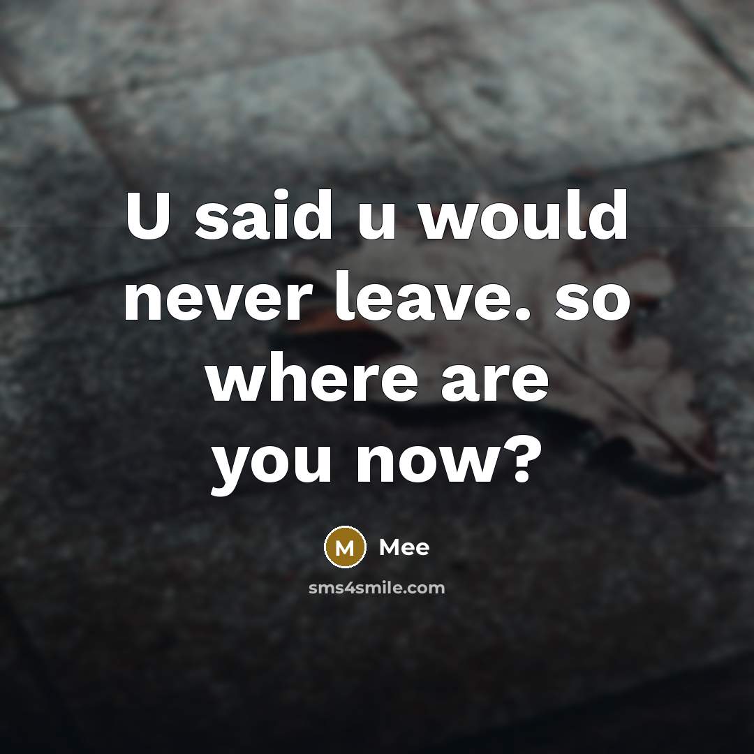 “U said u would never leave. so where are you now?” quote by Mee