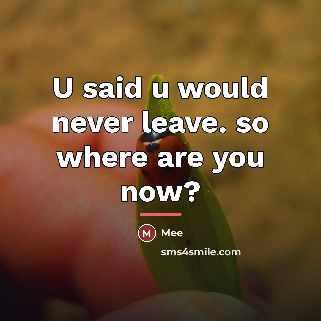 “U said u would never leave. so where are you…” quote by Mee