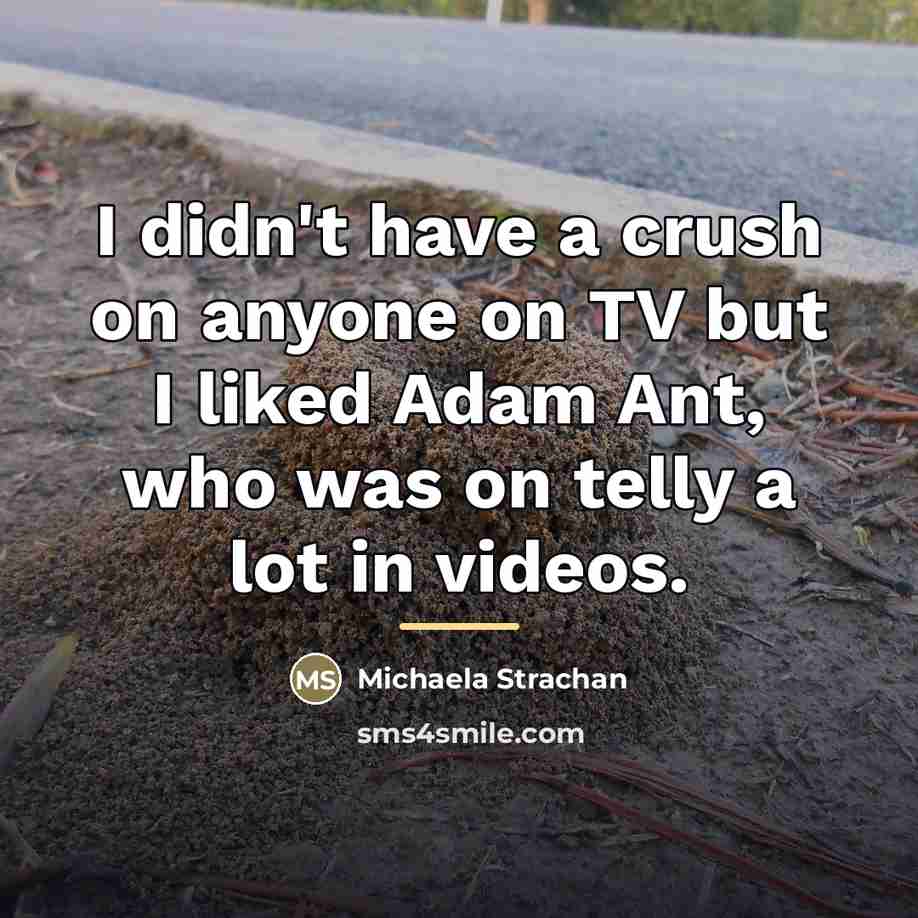 “I didn't have a crush on anyone on TV but…” quote by Michaela Strachan