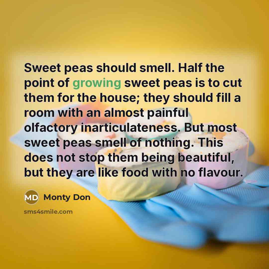 “Sweet peas should smell. Half the point of growing sweet…” quote by Monty Don