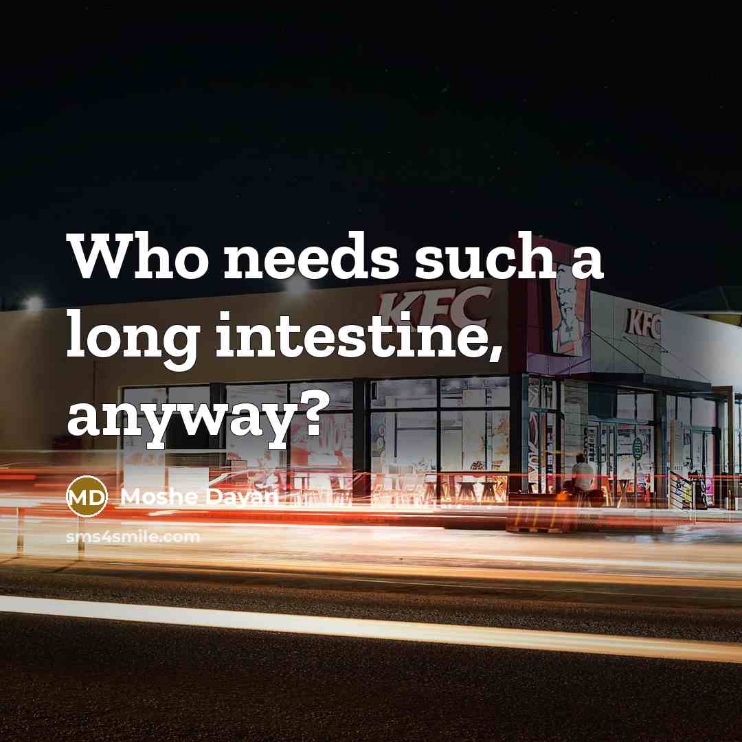 “Who needs such a long intestine, anyway?…” quote by Moshe Dayan