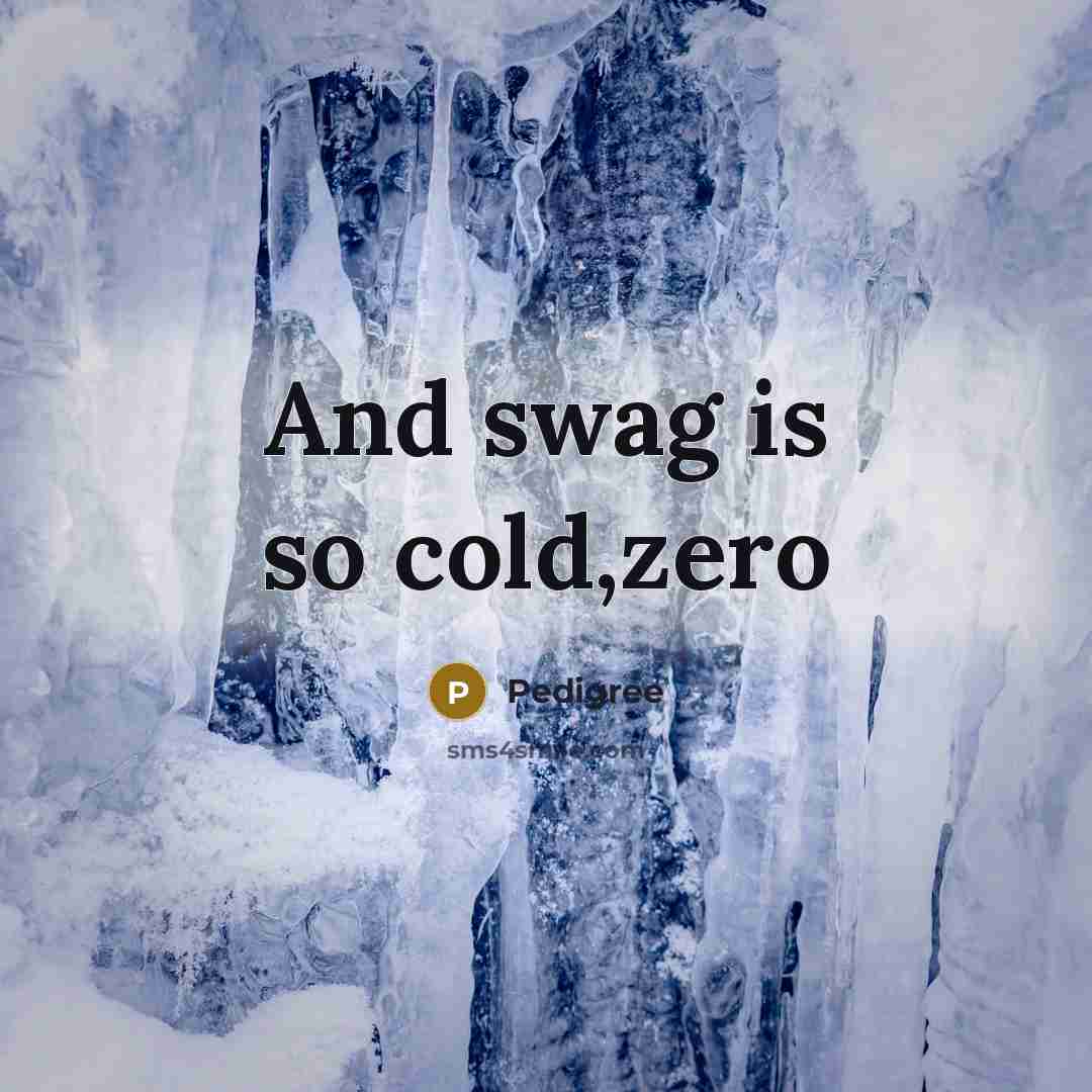 “And swag is so cold,zero” quote by Pedigree