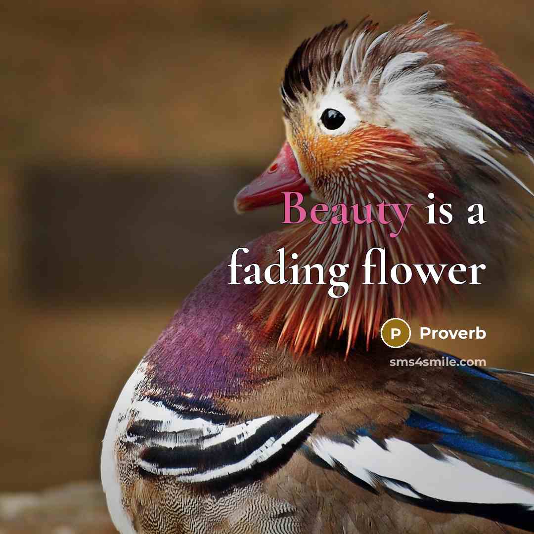 “Beauty is a fading flower…” quote by Proverb