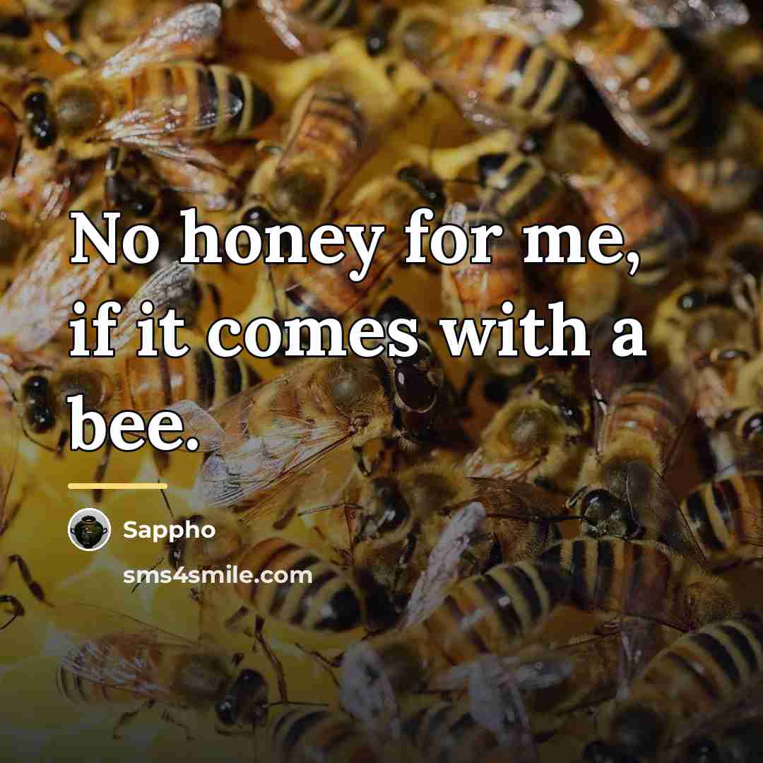 “No honey for me, if it comes with a bee.…” quote by Sappho