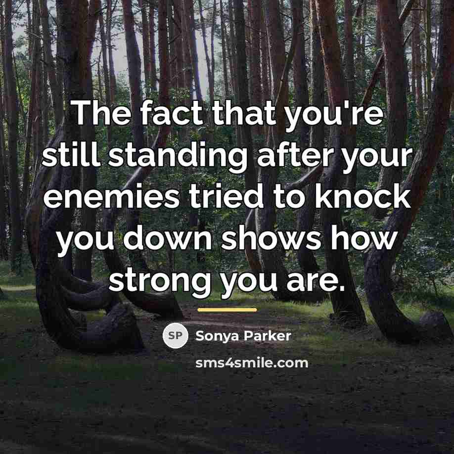 “The fact that you're still standing after your enemies tried…” quote by Sonya Parker
