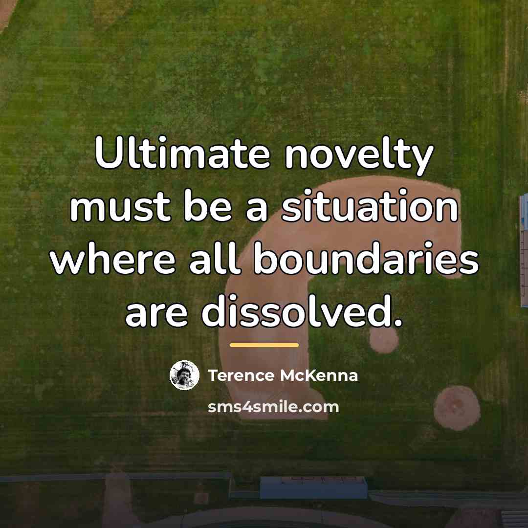 “Ultimate novelty must be a situation where all boundaries are…” quote by Terence McKenna