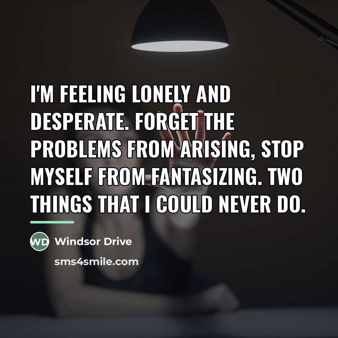 “I'm feeling lonely and desperate. Forget the problems from arising,…” quote by Windsor Drive