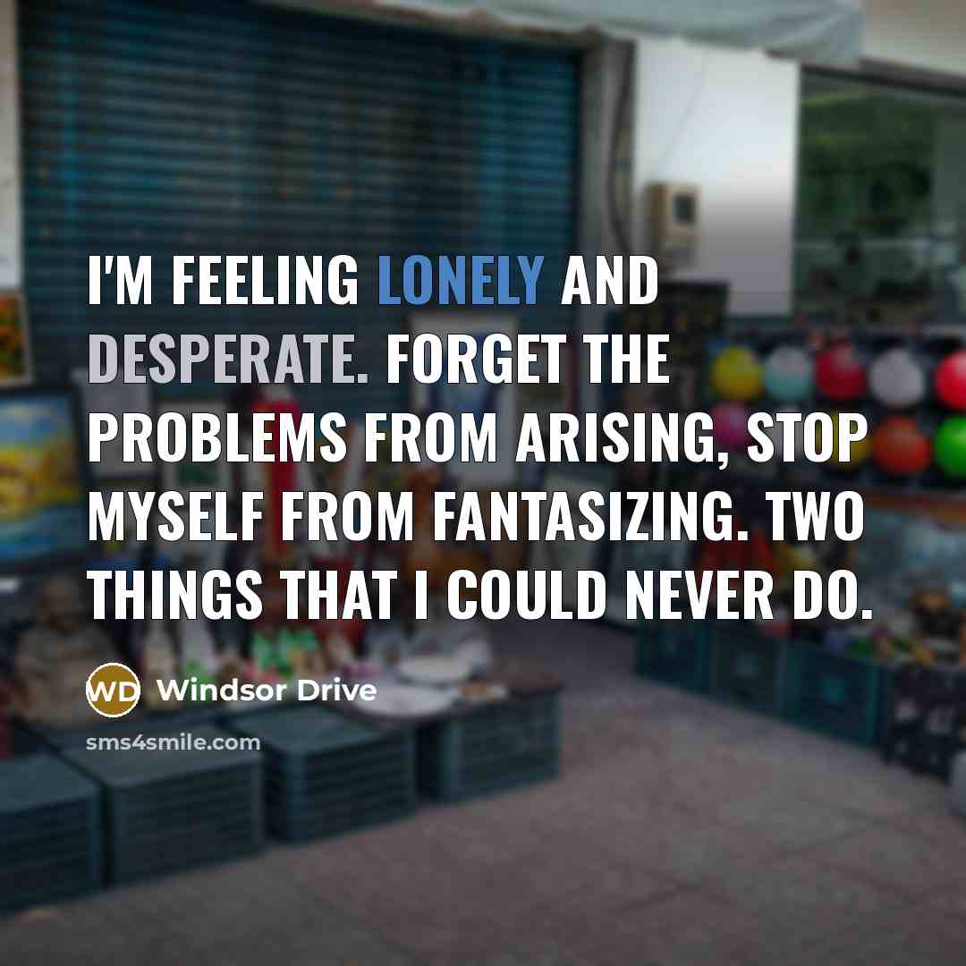 “I'm feeling lonely and desperate. Forget the problems from arising, stop myself from fantasizing. Two things that I could never do.” quote by Windsor Drive