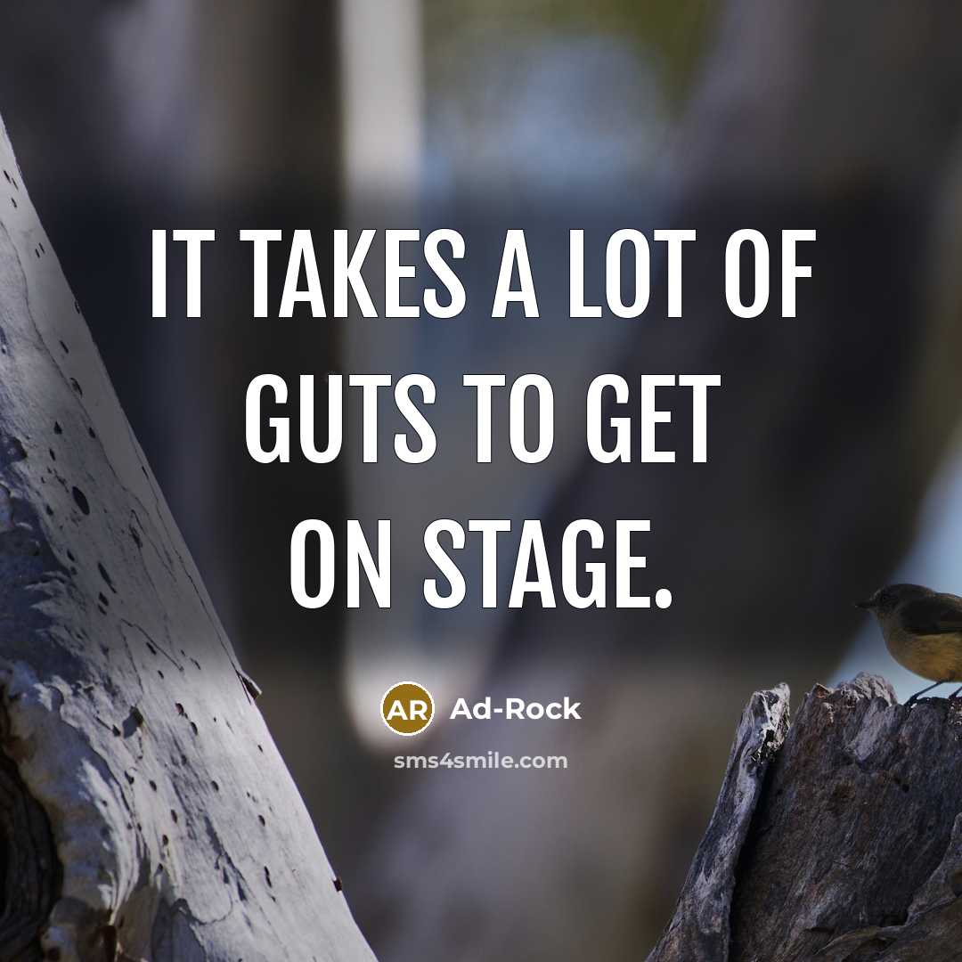“It takes a lot of guts to get on stage.…” quote by Ad-Rock