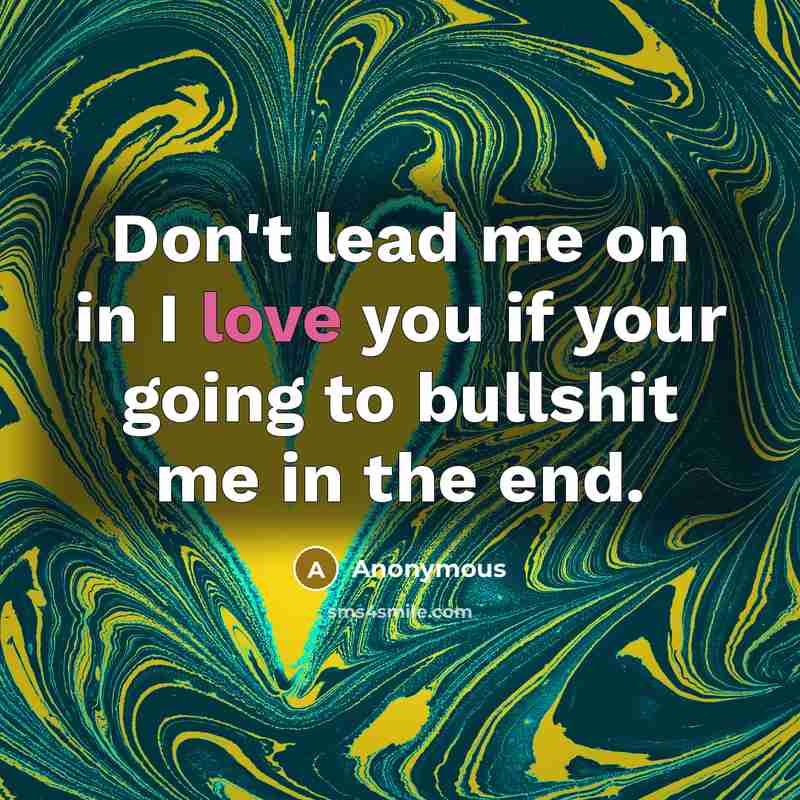 “Don't lead me on in I love you if your going to bullshit me in the end.” quote by Anonymous