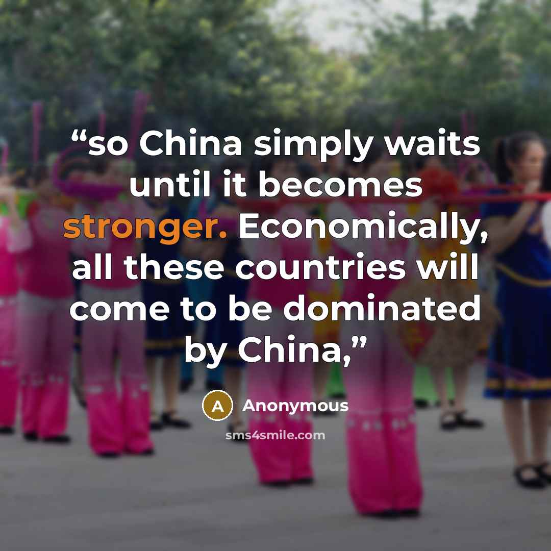 “so China simply waits until it becomes stronger. Economically, all these countries will come to be dominated by China,” quote by Anonymous