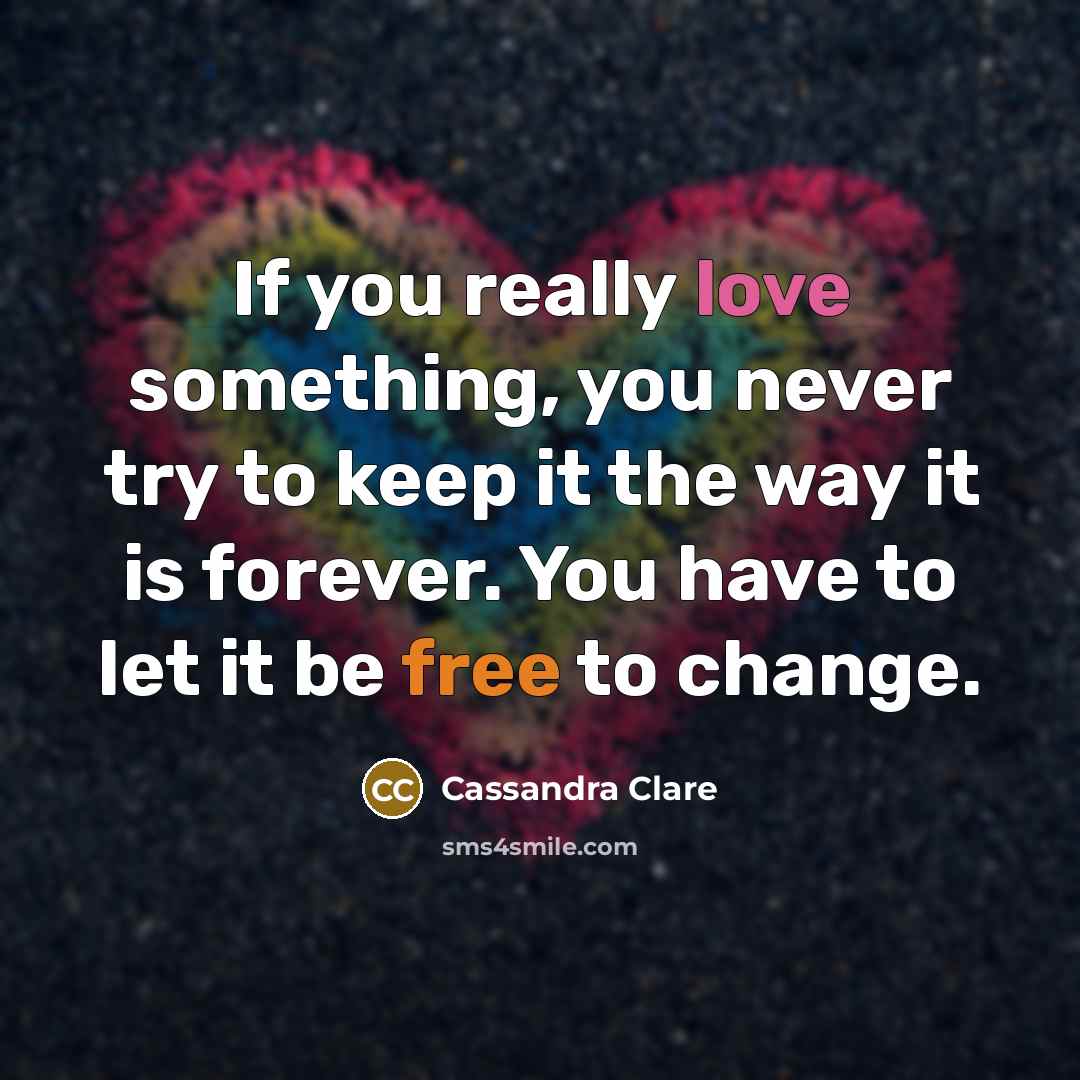 “If you really love something, you never try to keep it the way it is forever. You have to let it be free to change.” quote by Cassandra Clare