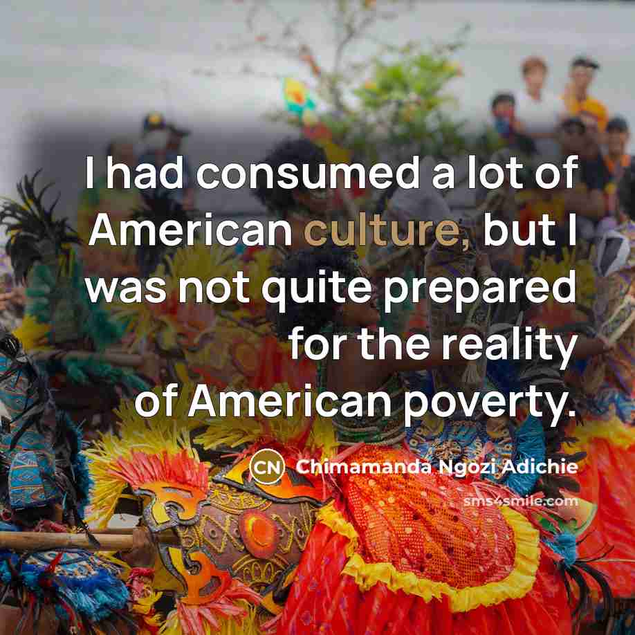 “I had consumed a lot of American culture, but I…” quote by Chimamanda Ngozi Adichie