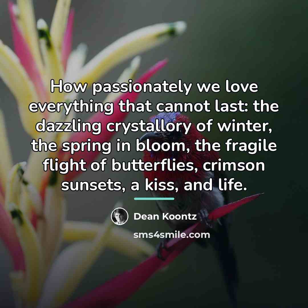 “How passionately we love everything that cannot last: the dazzling…” quote by Dean Koontz