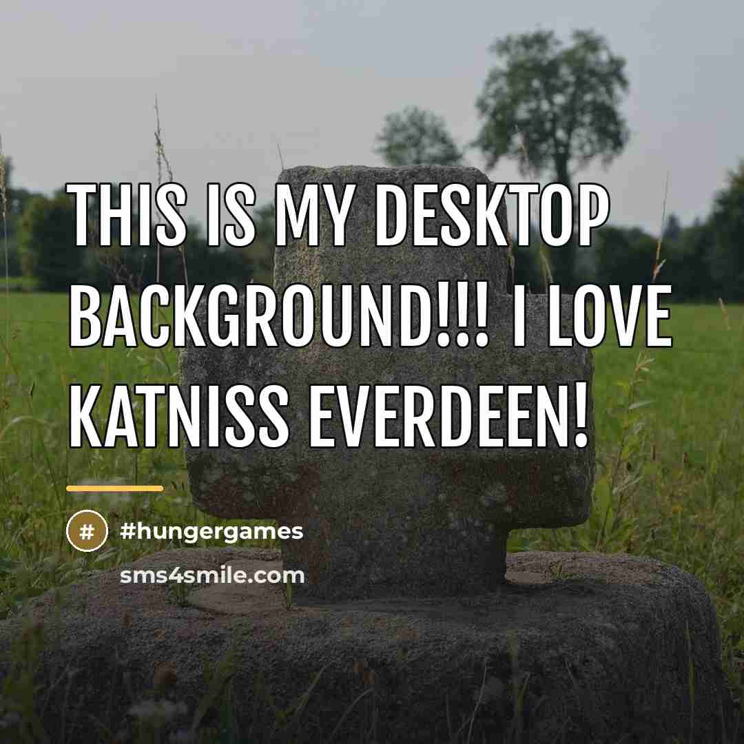 “This is my desktop background!!! I love katniss everdeen!…” quote by Hungergames