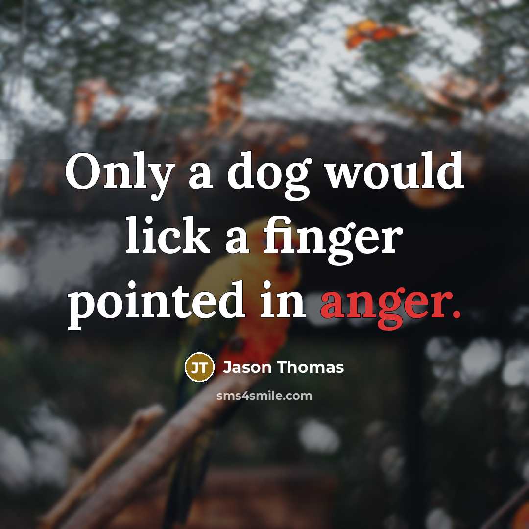 “Only a dog would lick a finger pointed in anger.” quote by Jason Thomas